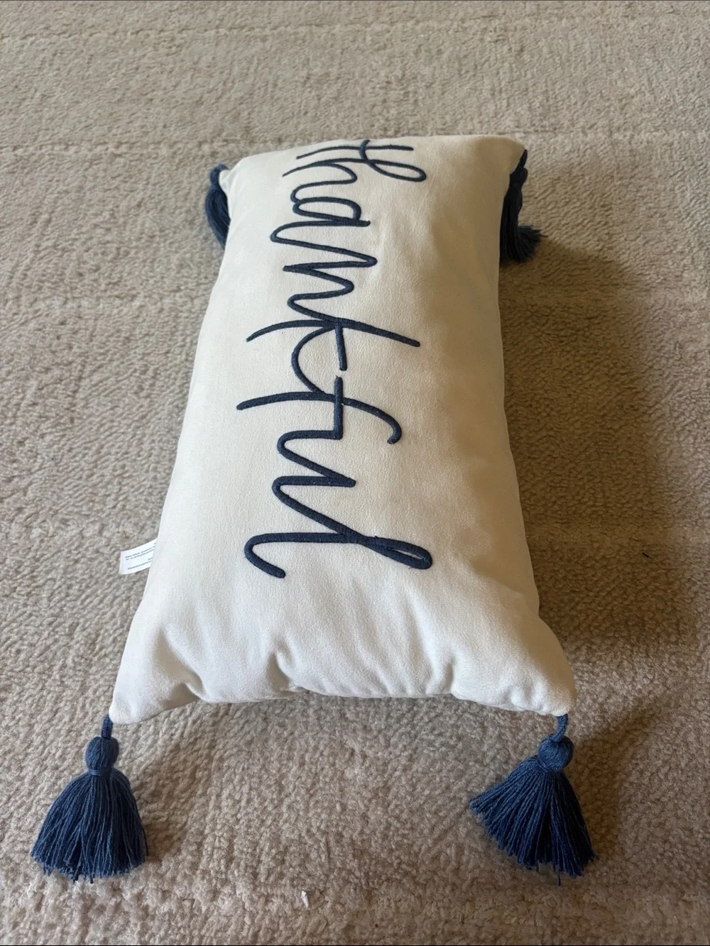 Thankful Decorative Accent Pillow - Navy on Cream